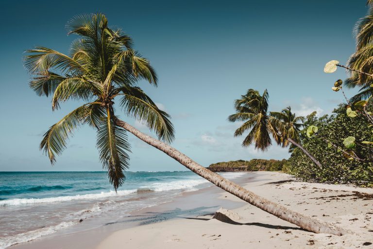 Découvrez la Martinique en Avril : Le Club Med, Destination Idéale pour des Vacances de Rêve