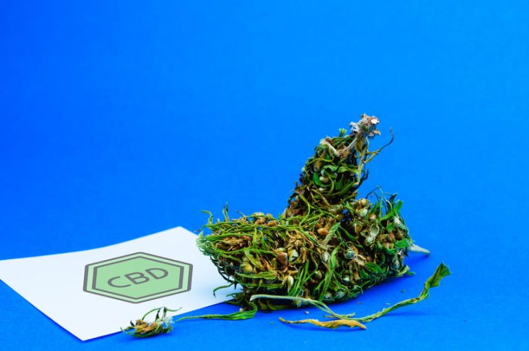Les vertus naturelles de la fleur de CBD sur la santé et le bien-être