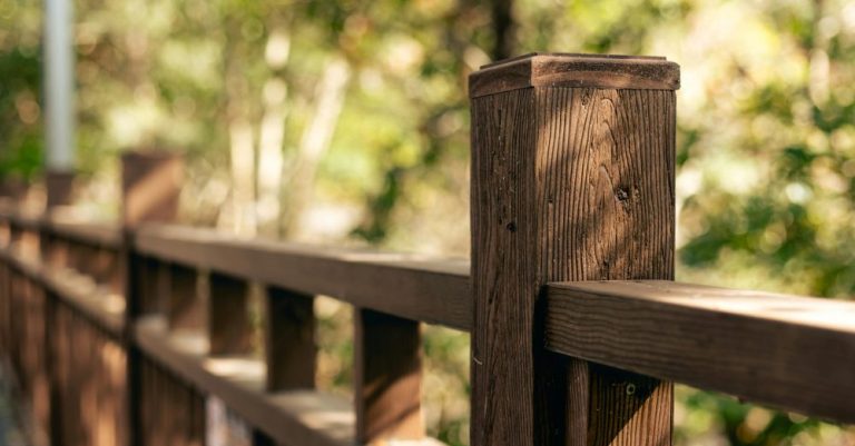 La ganivelle, cette clôture rustique qui s&rsquo;impose dans les jardins d&rsquo;aujourd&rsquo;hui